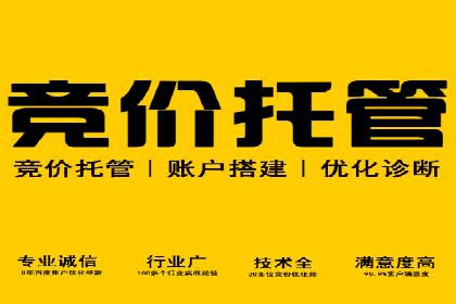 SEM外包公司服务优势及成功案例解析